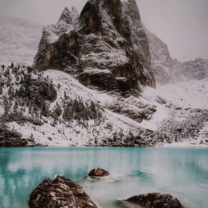 Meet your Posher, Suzi